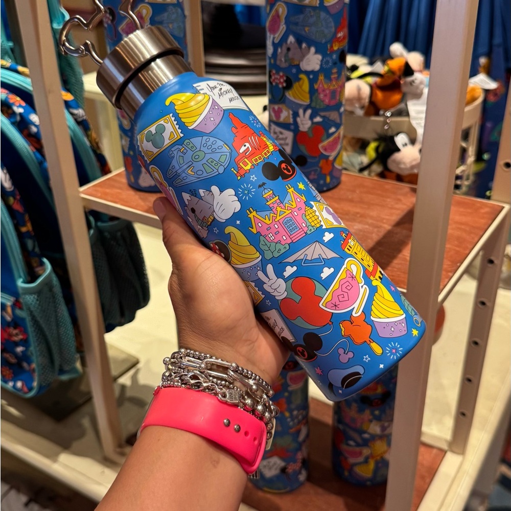 DISNEY Play in the Park Stainless Steel Water Bottle with Clip –
